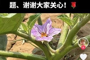 弹无虚发！埃克萨姆半场3中3拿9分3助 正负值+19